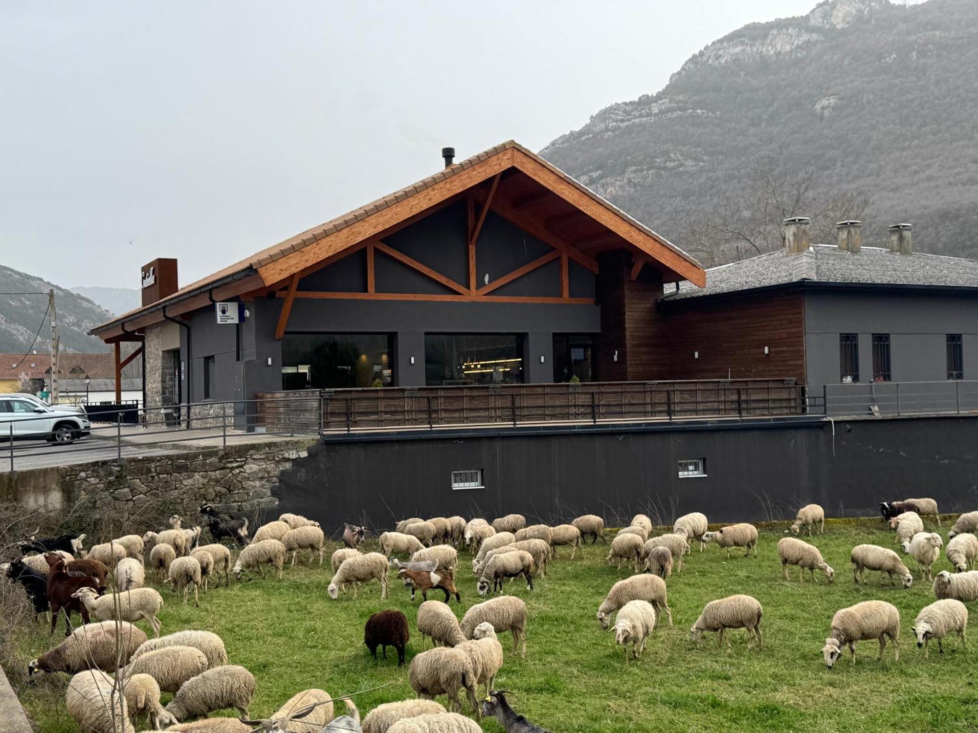 Hotel Cotiella Campo  Exterior photo